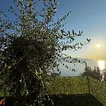 Premium Jonufer Vlorë