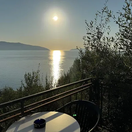 Premium Jonufer Vlorë