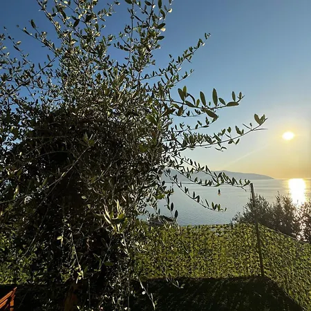Premium Jonufer Vlorë